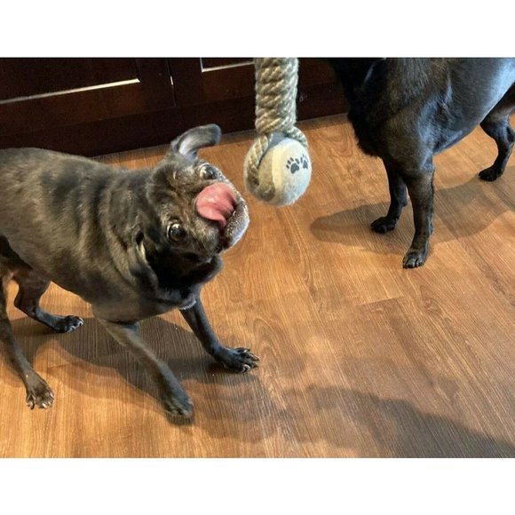 (SET of 2) DOG TOYS, PLAY TOYS, CHEW TOYS Single and Double Ball, Rope and Ball - Picture 2 of 4